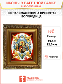 Икона Божией Матери "Неопалимая Купина" с золочением поталью, 03044-УЛ