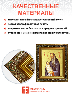 Икона "Стилиан Пафлагонский", св. прп., с золочением поталью, 09С10-УЛ