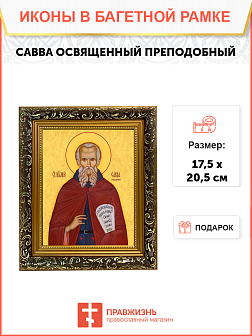 Образ святого Саввы Освященного преподобного, 09С17 Образ святого Саввы Освященного преподобного, 09С17