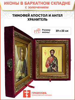 Икона "Тимофей", св. апостол, с золочением поталью, 09103-УЛ Икона "Тимофей", св. апостол, с золочением поталью, 09103-УЛ