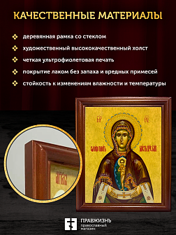 Икона Божьей Матери Албазинская, деревянная рамка со стеклом 15х18х2 см 1181