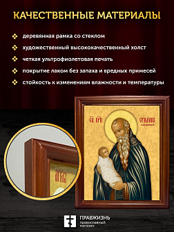 Икона Стилиан Пафлагонский преподобный, деревянная рамка со стеклом 15х18х2 см 1102