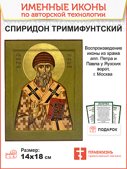 Икона СПИРИДОН Тримифунтский, Святитель (РУЧНАЯ РАБОТА)