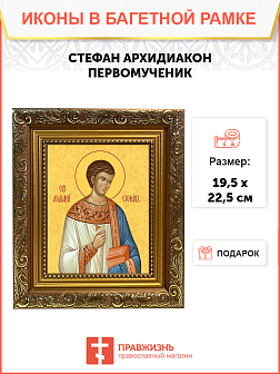 Образ святого Стефана Архидиакона, апостола-первомученика, 09С16 Образ святого Стефана Архидиакона, апостола-первомученика, 09С16