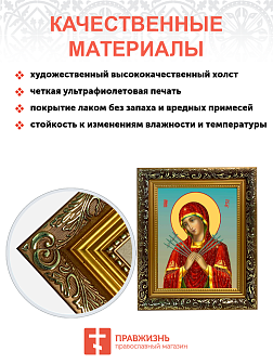 Образ Божией Матери "Семистрельная", 03С2