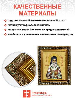 Образ святого Нектария (Кефаласа), митрополита Эгинского и Пентапольского, 09Н8