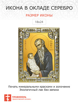 Икона Стилиан Пафлагонский преподобный