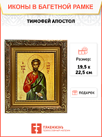 Икона Тимофей Апостол на холсте в киоте 138