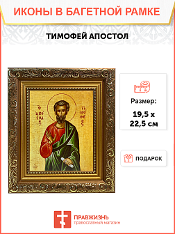 Икона Тимофей Апостол на холсте в киоте 138