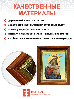 Образ Божией Матери "Отчаянных единая надежда", 03О1