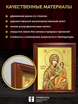 Икона Божией Матери Смоленская с золочением, деревянная рамка со стеклом 15х18х2 см 133