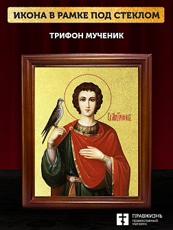 Икона Трифон мученик с золочением, деревянная рамка со стеклом 15х18х2 см 140