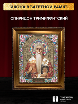 Икона Спиридон Тримифунтский, бронзовая багетная рамка узкая с узором 15х18 см Икона Спиридон Тримифунтский, бронзовая багетная рамка узкая с узором 15х18 см