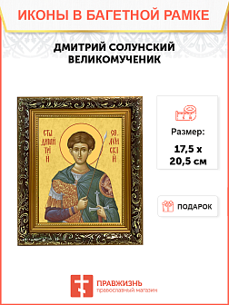 Образ святого Дмитрия Солунского (Фессалоникийского), великомученика, 09Д2 Образ святого Дмитрия Солунского (Фессалоникийского), великомученика, 09Д2