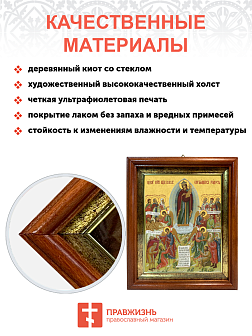 Образ Божией Матери "Всех Скорбящих Радость", 03В7