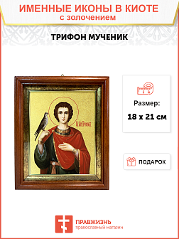 Икона "Трифон", св. мч., с золочением поталью, 09110-УЛ