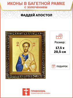 Икона "Фаддей", св. апостол из семидесяти, с золочением поталью, 09Ф3-УЛ