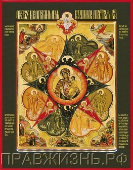 Икона с золочением Богородица Неопалимая Купина