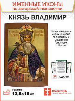 Икона князь Владимир