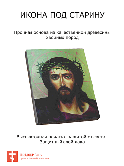 Икона Иисус в Терновом Венце