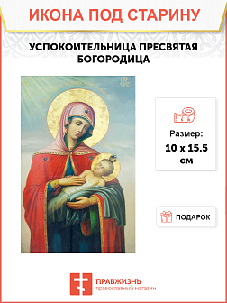 Икона Успокоительницы