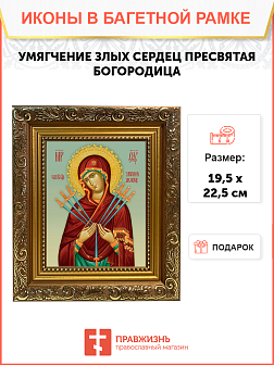 Образ Божией Матери "Умягчение злых сердец", 03У1