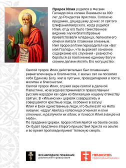 Набор флагов Покровители Святой Руси сетка 5 шт