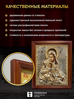 Икона Божией Матери Милостивая, деревянная рамка со стеклом 15х18х2 см 1120 Икона Божией Матери Милостивая, деревянная рамка со стеклом 15х18х2 см 1120