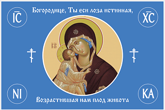 Флаг 123 Богородице, Ты еси лоза истинная 90х135 материал сетка для улицы