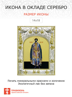 Икона ДИМИТРИЙ (Дмитрий) Донской, Благоверный Князь (СЕРЕБРЯНАЯ РИЗА)