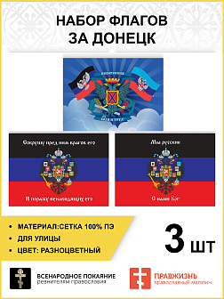Набор флагов За Донецк сетка 3 шт.