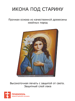 Икона Трилетствующая