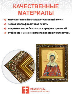 Образ святой Наталии Никомидийской, мученицы, 10Н1