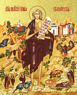 Икона "Мария Египетская", св. прп., с золочением поталью, 10037-УЛ