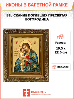 Образ Божией Матери "Взыскание погибших", 03003