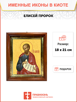 Образ святого Елисея, Пророка ветхозаветного, 09Е1 Образ святого Елисея, Пророка ветхозаветного, 09Е1