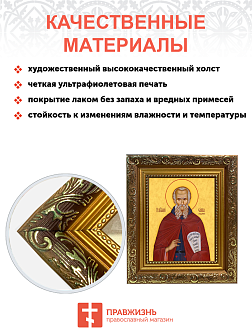 Образ святого Саввы Освященного преподобного, 09С17 Образ святого Саввы Освященного преподобного, 09С17