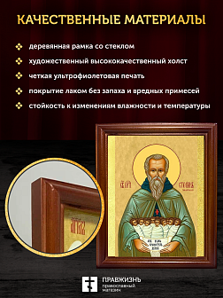 Икона Стилиан Пафлагонский преподобный, деревянная рамка со стеклом 15х18х2 см 1102