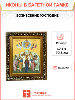 Образ Господа Иисуса Христа "Вознесение Господне", 05В3 Образ Господа Иисуса Христа "Вознесение Господне", 05В3