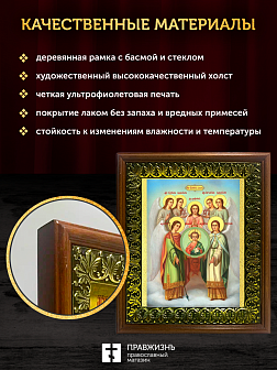 Икона собор Михаила Архангела, деревянная рамка с басмой и стеклом 18х21х2,5 см 105 Икона собор Михаила Архангела, деревянная рамка с басмой и стеклом 18х21х2,5 см 105