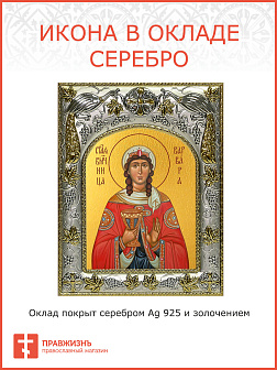 Икона ВАРВАРА Илиопольская, Великомученица