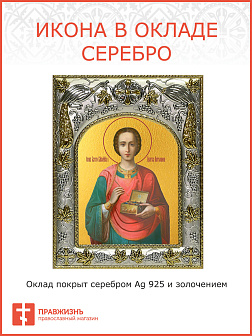 Икона ПАНТЕЛЕИМОН Целитель, Великомученик (СЕРЕБРЯНАЯ РИЗА)