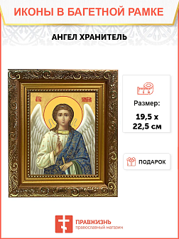 Образ Святого Ангела хранителя, 04А9