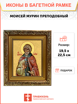 Образ святого Моисея Мурина Эфиопского, преподобного иеромонаха, 09М2