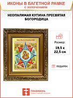 Икона Божией Матери "Неопалимая Купина" с золочением поталью, 03045-УЛ