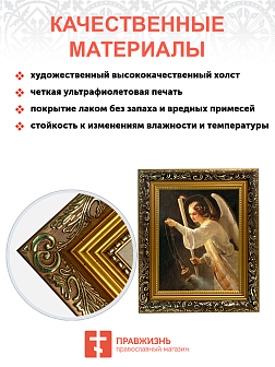 Образ Архангела Селафиила, 04018