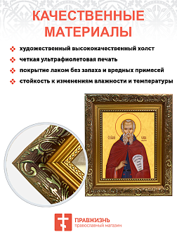 Образ святого Саввы Освященного преподобного, 09С17