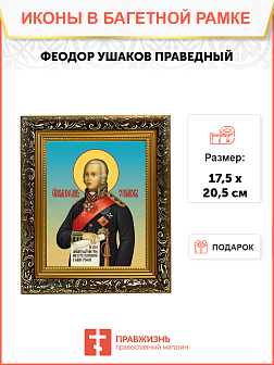 Образ святого Феодора Ушакова, праведного воина, 09Ф1