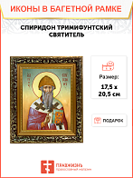 Образ святого Спиридона, епископа Тримифунтского, чудотворца, 09С15 Образ святого Спиридона, епископа Тримифунтского, чудотворца, 09С15