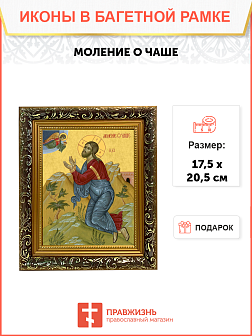 Образ Господа Иисуса Христа "Моление о чаше", 02С9